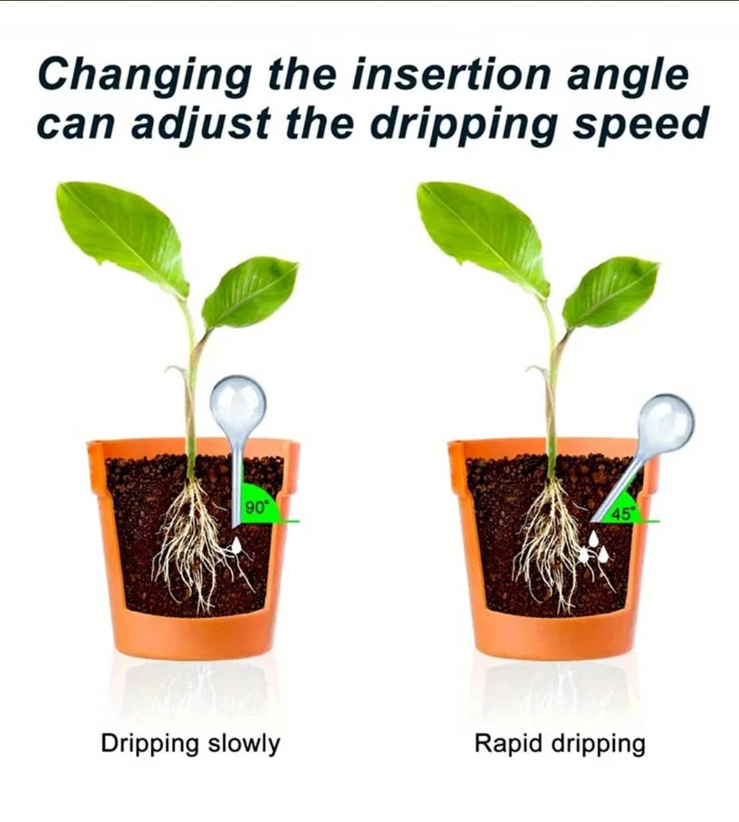 5PCS Watering Globes Slow Release Plants Flowers waterer Self Watering Bulbs Bal