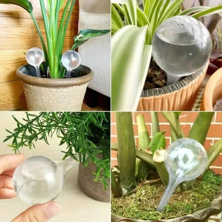 5PCS Watering Globes Slow Release Plants Flowers waterer Self Watering Bulbs Bal